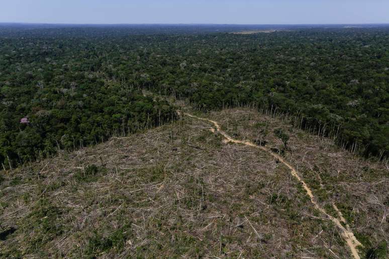 Imagens aéreas mostram área desmatada na Amazônia
27/07/2017 REUTERS/Bruno Kelly
