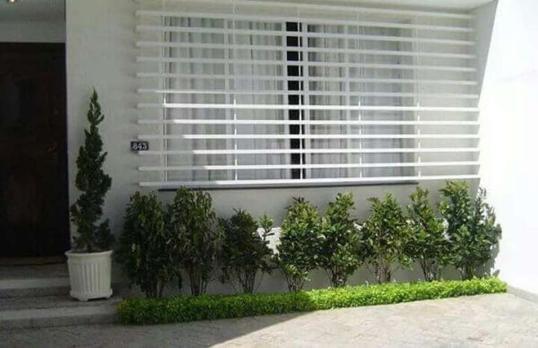 9- A planta pingo de ouro foi utilizada como forra&ccedil;&atilde;o de canteiro com Ixoras. Fonte: Pinterest