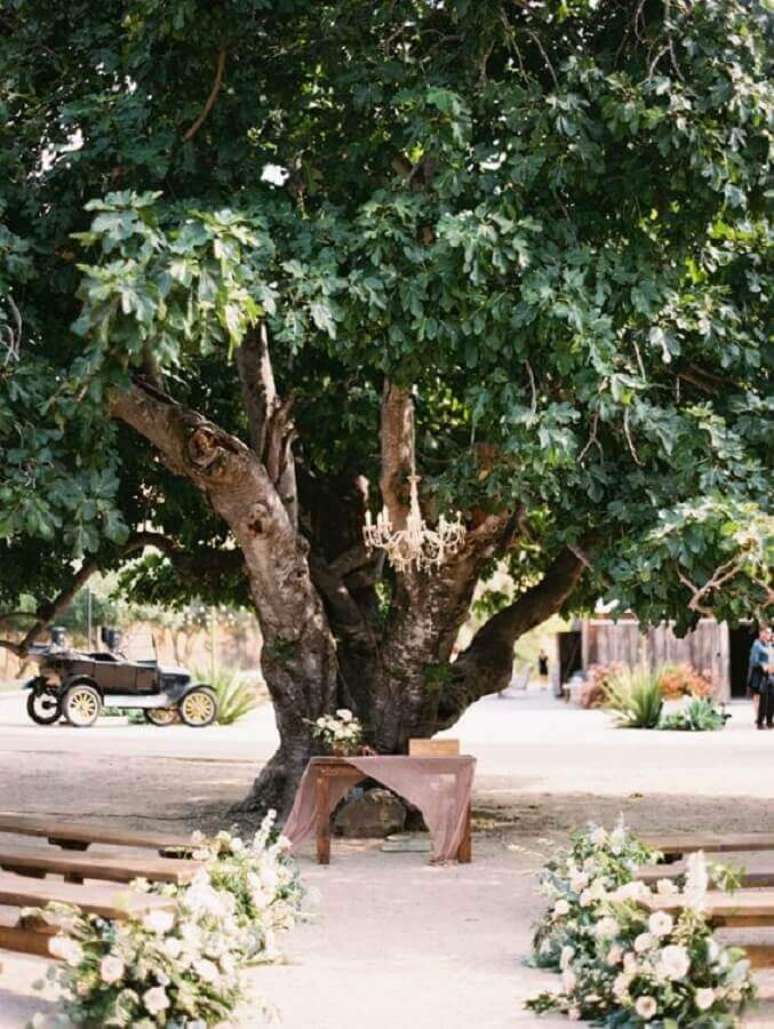40. Uma grande árvore pode servir como altar para a cerimônia de casamento ao ar livre – Foto: Grace Lorenze