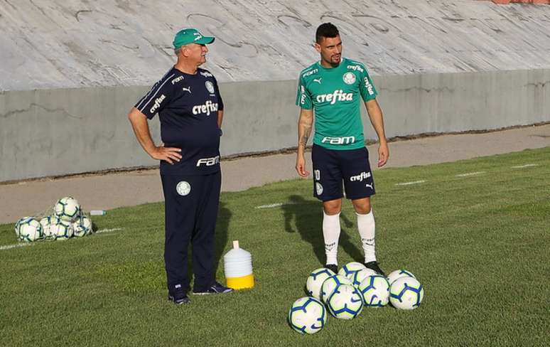 Palmeiras de Felipão e Moisés está em Alagoas para buscar a segunda vitória seguida (Agência Palmeiras/Divulgação)