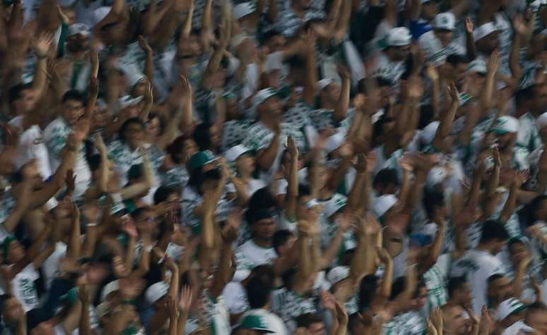 Torcedores do Palmeiras xingaram a Rede Globo durante partida exibida na TNT (Agência Palmeiras/Divulgação)