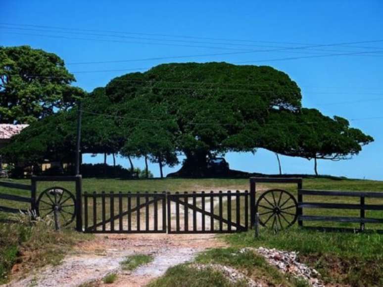 66 – Portão de madeira utilizado compõem a entrada de chácara. Fonte: Pinterest