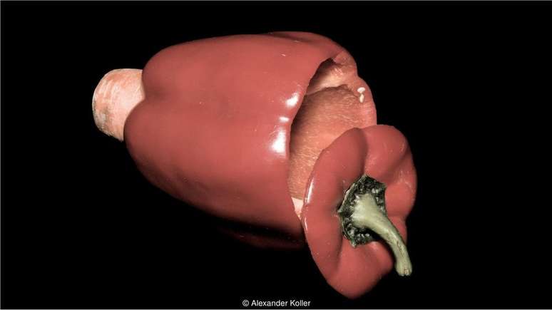 Trompete de piment&atilde;o