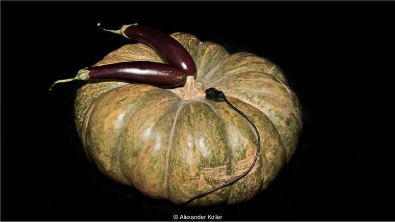 Tambor de ab&oacute;bora