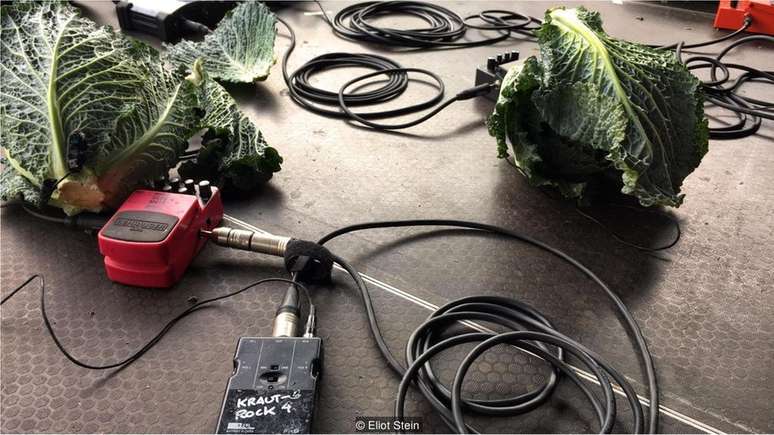 Grupo usa pedais de distorção e microfones "para dar vida a legumes e verduras"