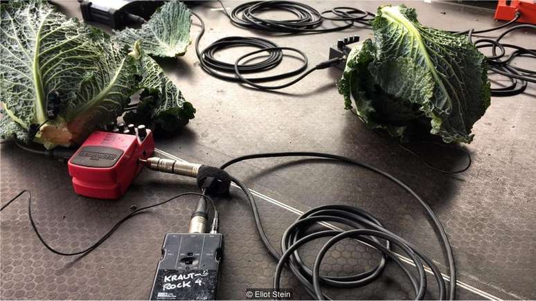 Grupo usa pedais de distor&ccedil;&atilde;o e microfones "para dar vida a legumes e verduras"
