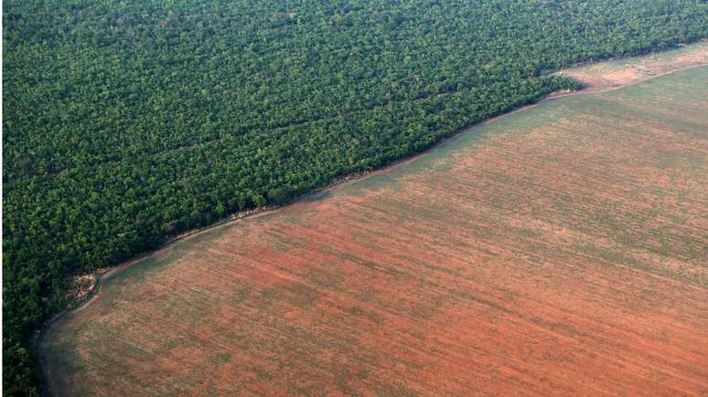 Plantação ao lado de área de floresta amazônica no Mato Grosso; ex-ministro destaca papel do bioma no agronegócio
