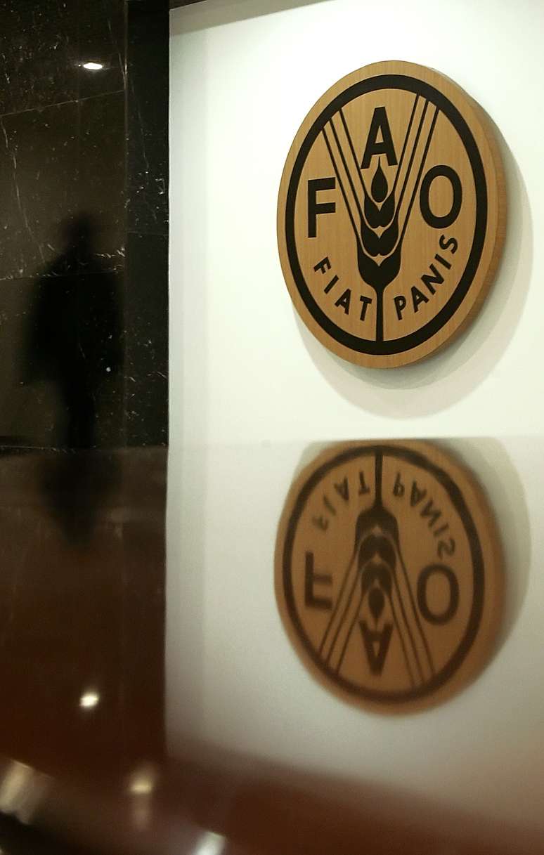 Logo da Organiza&ccedil;&atilde;o das Na&ccedil;&otilde;es Unidas para Agricultura e Alimenta&ccedil;&atilde;o (FAO) 
16/01/2006
REUTERS/Alessandro Bianchi