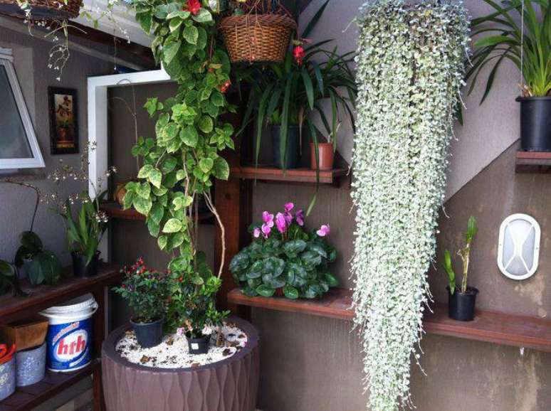 15. Você pode fazer uso de prateleiras e vasos suspensos para otimizar o espaço do seu jardim pequeno