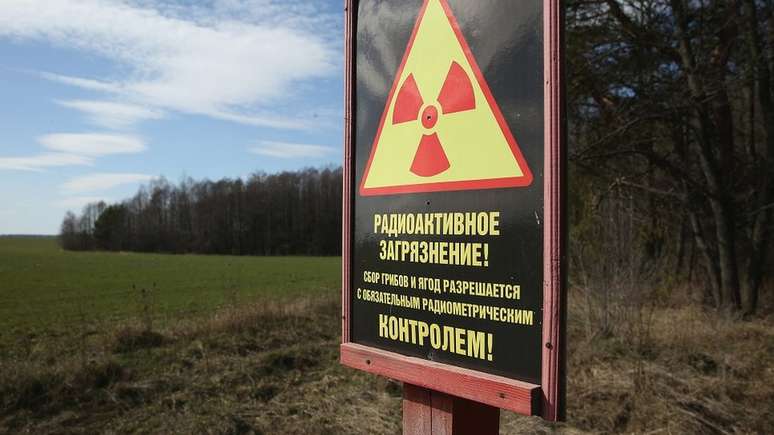 As plantas podem se adaptar ap&oacute;s um desastre nuclear, mas seres humanos nunca devem colher ou comer frutas e cogumelos de &aacute;reas contaminadas por radia&ccedil;&atilde;o