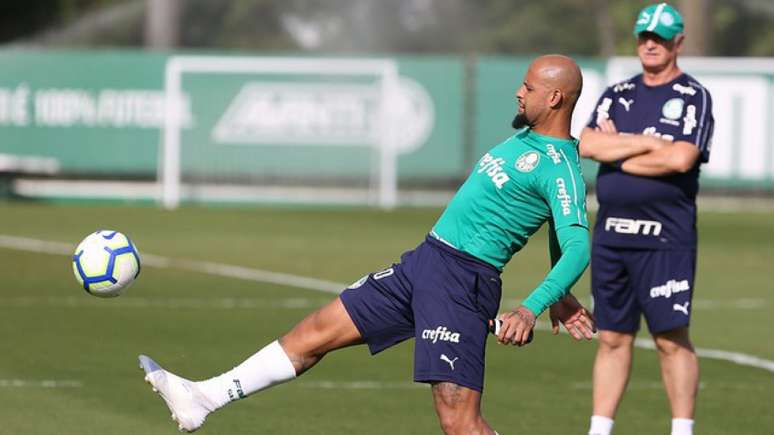 Felipe Melo se recuperou depois de ser liberado do treino de terça-feira por ter febre (Agência Palmeiras/Divulgação)