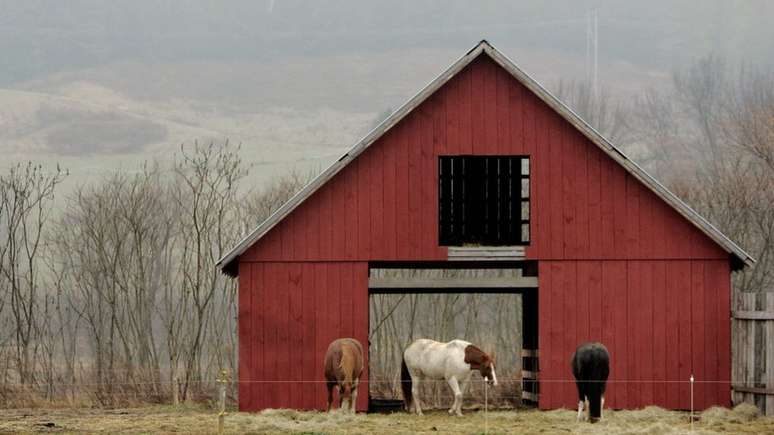 O setor de laticínios em Vermont está tentando atrair uma força de trabalho mais diversificada