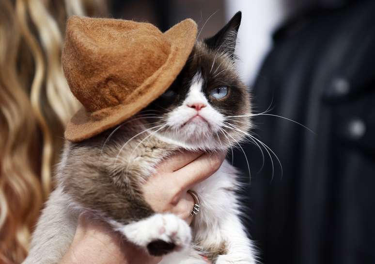 Grumpy Cat chega ao MTV Movie Awards em Los Angeles, California, EUA.  13/04/2014. REUTERS/Danny Moloshok