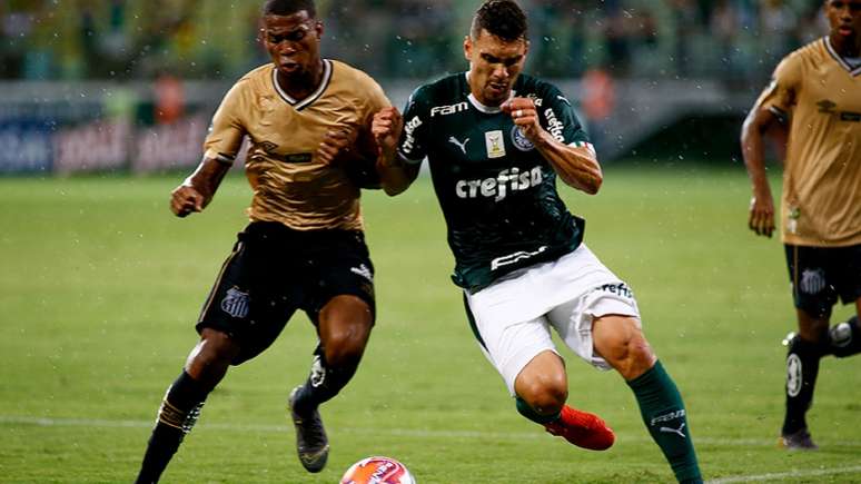 Palmeiras e Santos fazem o primeiro clássico paulista neste Campeonato Brasileiro (Foto: Luis Moura / WPP)