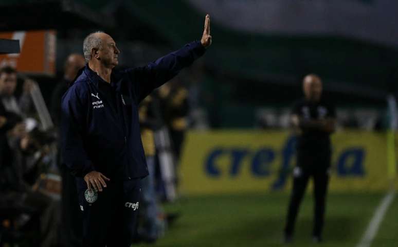 Felipão na vitória do Palmeiras sobre o Santos na noite deste sábado (Foto: Divulgação/ Flickr)