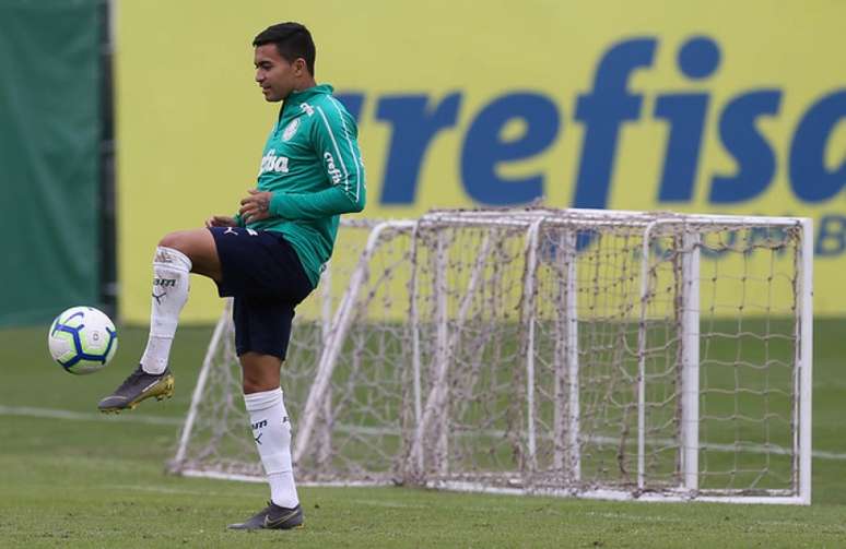 Dudu participou diretamente de 12 dos 44 gols feitos pelo Palmeiras na temporada (Agência Palmeiras/Divulgação)