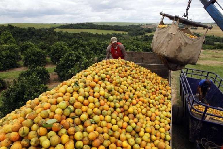 Caminh&atilde;o &eacute; carregado com laranjas em Limeira (SP)
13/01/2012
REUTERS/Paulo Whitaker