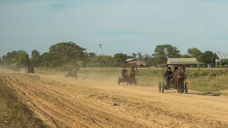 Carroças são principal meio de transporte em comunidade que rejeita a modernidade, na Bolívia