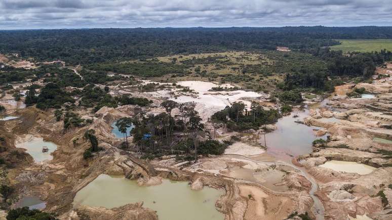 Segundo reportagem investigativa, poluidores têm recebido 'passe livre' para emitir CO2, sem que créditos para compensar essa emissão estejam sendo de fato revertidos em preservação florestal