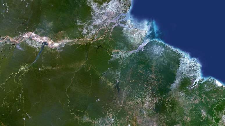 Brasil usa programa de satélite que rastreia a perda de árvores em grande escala, mas há sinais de que os proprietários de terras estão desmatando áreas menores para escapar da detecção, diz reportagem