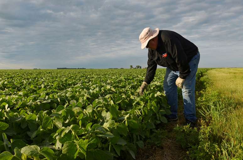 Agricultor checa plantio de soja em Amenia, Dakota do Norte (EUA) 
06/07/2018
REUTERS/Dan Koeck