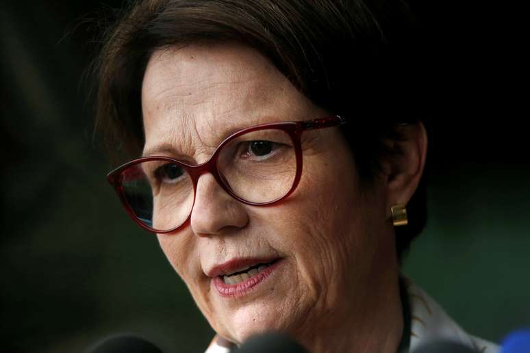 Ministra da Agricultura, Tereza Cristina, durante entrevistra em Brasília 
08/11/2018
REUTERS/Adriano Machado