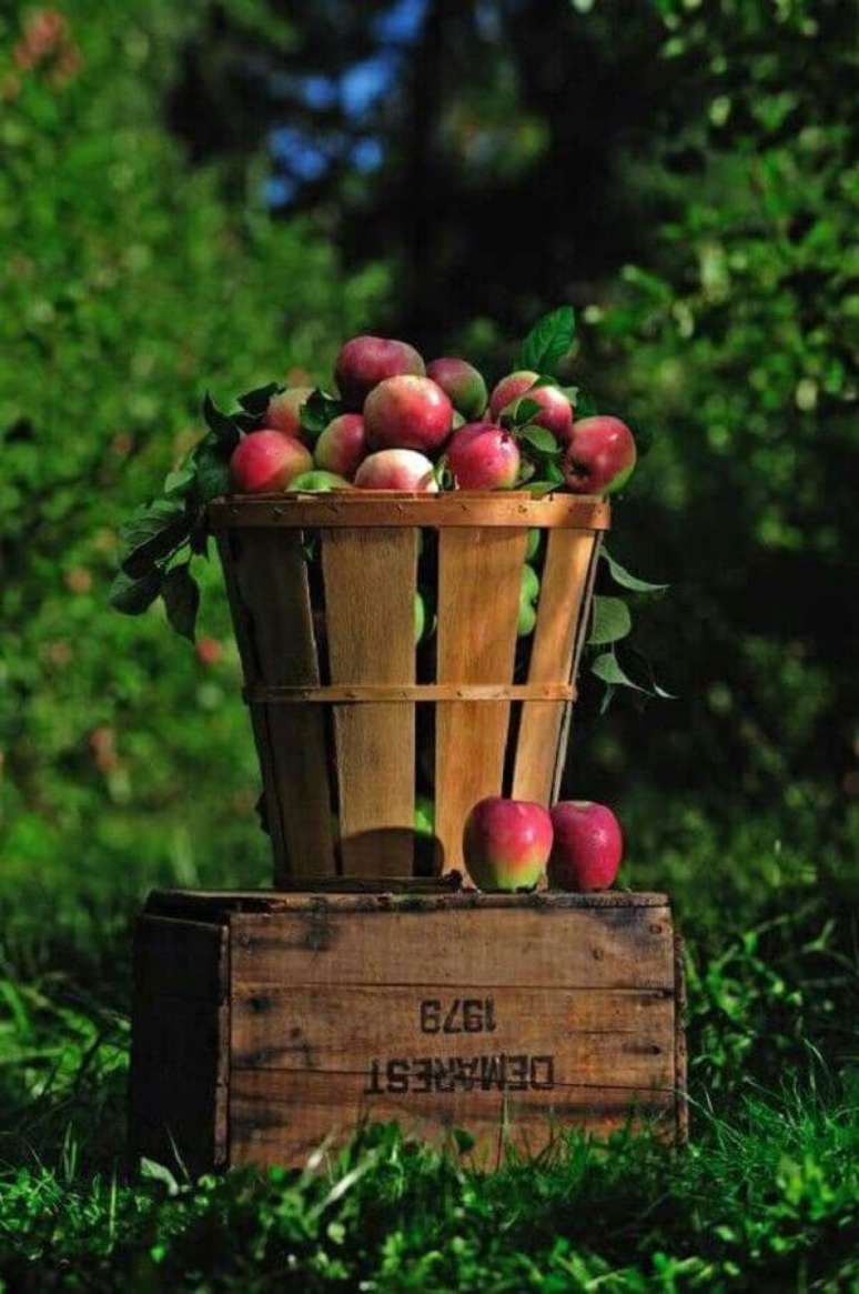 8. Invista em muitas ma&ccedil;&atilde;s para a decora&ccedil;&atilde;o da sua festa da Branca de Neve &ndash; Foto: Creating Home