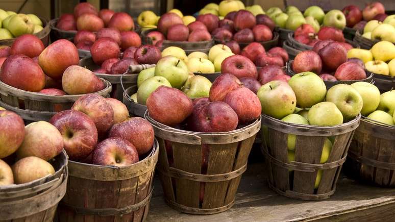 'Popularização' da maçã teve início cerca de 4,5 mil anos atrás