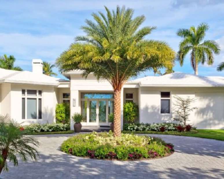 31- Muitos tipos de palmeiras apreciam solo arenoso com boa drenagem. Fonte: Casa e Constru&ccedil;&atilde;o