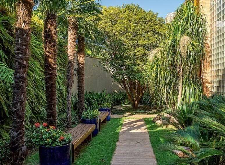 16- Os tipos de palmeiras decoram os jardins das residências. Fonte: Edu Castello /Editora Globo