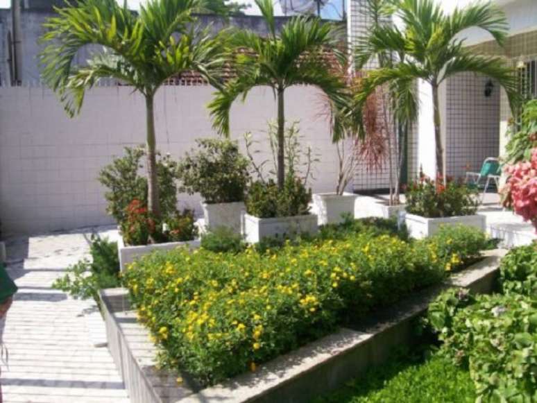 46- Os tipos de palmeiras para vaso podem compor um jardim externo. Fonte: Casa e Construção