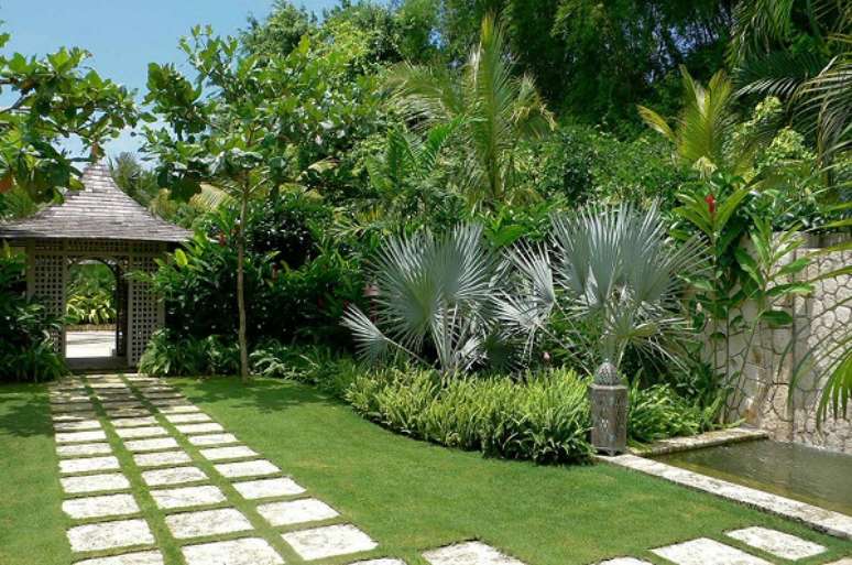 47- Os tipos de palmeiras para jardins residenciais podem ter cores, formatos e portes diferentes. Fonte: Rosas de Jardim