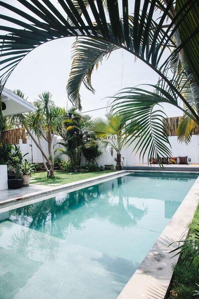 65- Os tipos de palmeiras plantadas pr&oacute;ximas as piscinas n&atilde;o tem ra&iacute;zes agressivas. Fonte: Pinterest
