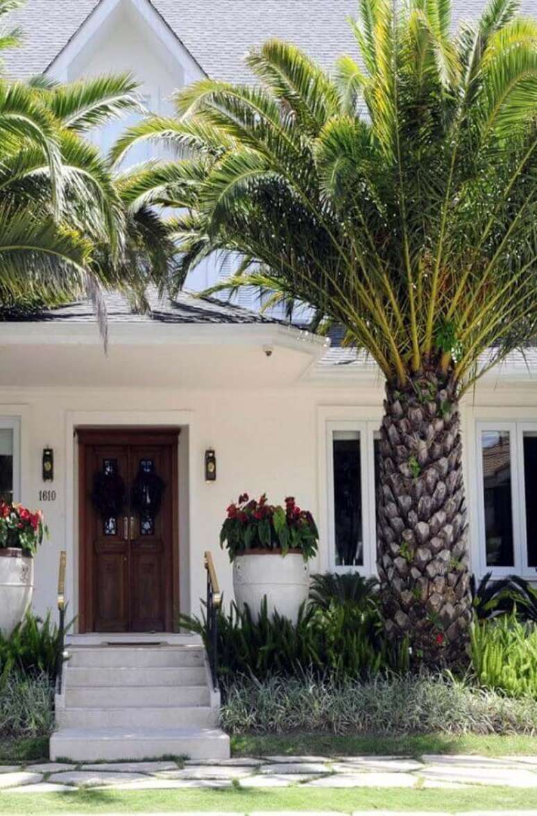 1- Os tipos de palmeiras como a Washingtonia s&atilde;o muito utilizadas nos projetos paisag&iacute;sticos. Fonte: Pinterest