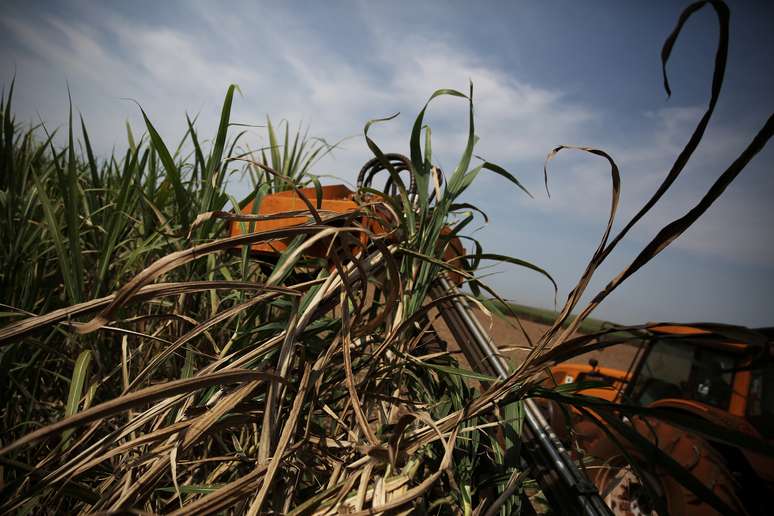 Colheita de cana-de-açúcar em Ribeirão Preto (SP) 
15/09/2016
REUTERS/Nacho Doce