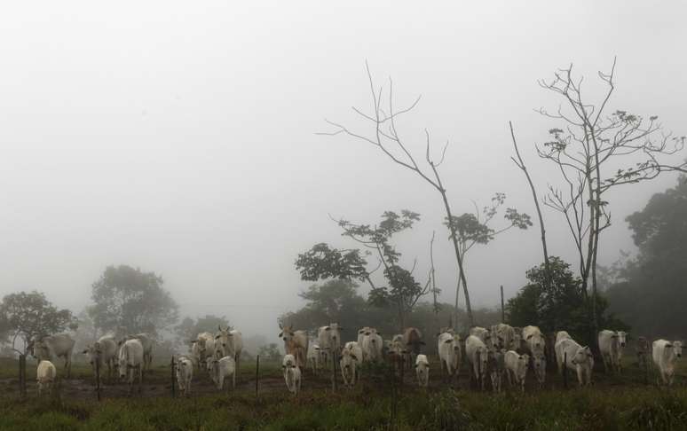 Rebanho de bovinos em fazenda no Estado de Mato Grosso 
08/02/2013
REUTERS/Paulo Whitaker