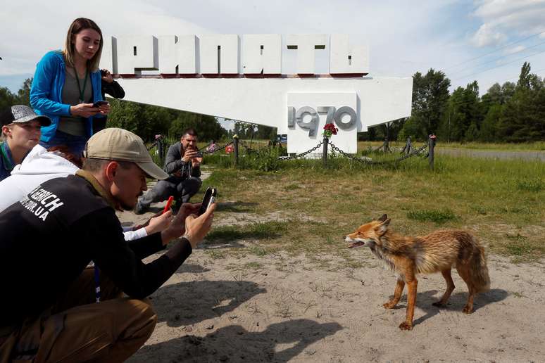 Turistas tiram fotos de raposa na cidade abandonada de Pripyat, perto da usina nuclear de Chernobyl
04/06/2019 REUTERS/Valentyn Ogirenko