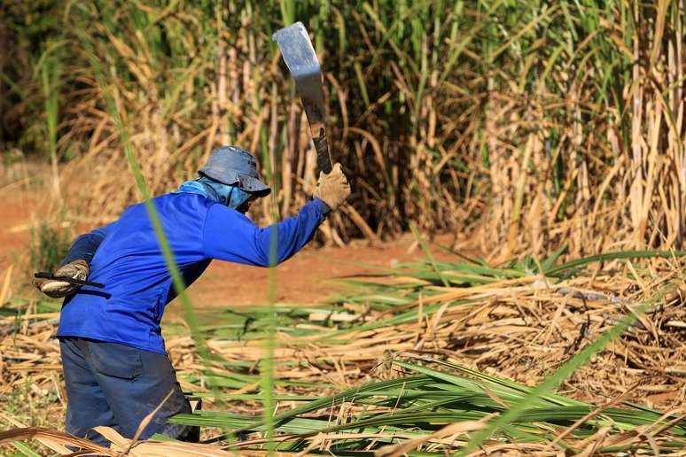 Trabalhador rural em colheita de cana em Rio das Pedras, região de Piracicaba, interior de São Paulo