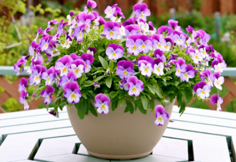 26. Vaso de flores da primavera amor perfeito para decoração de jardins e varandas – Foto: Pinterest