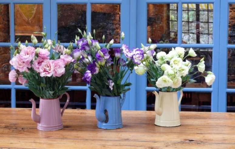 32. Diferentes flores da primavera com várias cores e formatos, combinando com os vasos alegres – Foto: Pixabay
