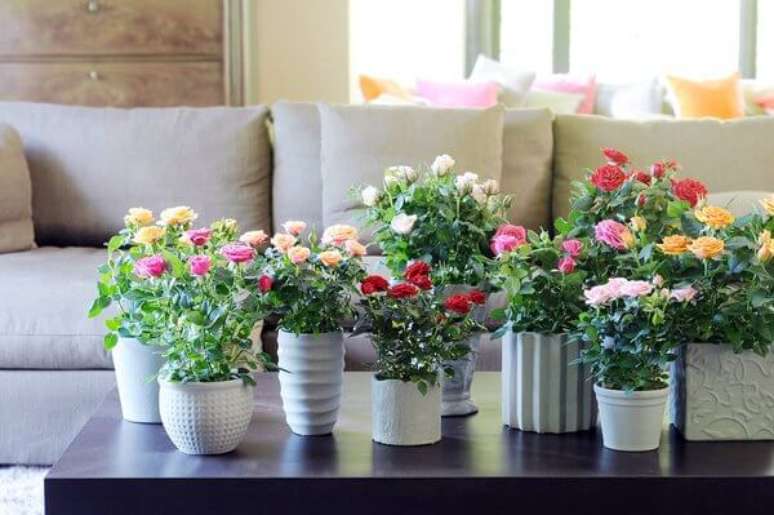 8. Use mini rosas para decorar a sala com as flores da primavera – Foto: Pinterest