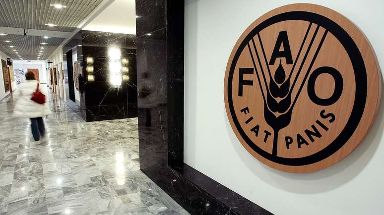 A women walks past a United Nations' Food and Agriculture Organisation (FAO) sign at the headquarters in Rome January 16, 2006. Turkey still has a chance of preventing bird flu from becoming a permanent feature among its poultry, the FAO said on Monday. REUTERS/Alessandro Bianchi - RP3DSFEBTOAA