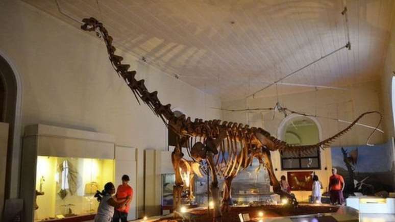 Acervo do museu continha pe&ccedil;as extremamente importantes para registro de milhares de anos