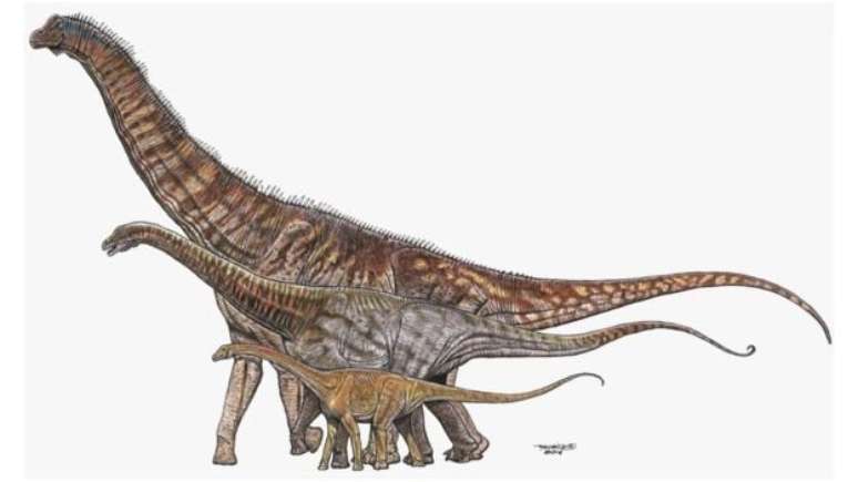 Titanossauros brasileiros Austroposeidon, Maxakalisaurus e Gondwantitan, cujo 'retrato familiar' era montado por bióloga com o acervo do Museu Nacional