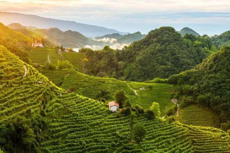 Colinas do Prosecco são conhecidas por seu terraceamento com bordas herbosas