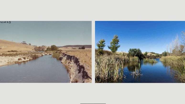 O antes e o depois da ado&ccedil;&atilde;o da agricultura de sequ&ecirc;ncia natural na regi&atilde;o de Mulloon Creek