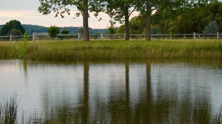 Os especialistas do Instituto Mulloon descobriram que a agricultura de sequ&ecirc;ncia natural pode aumentar o len&ccedil;ol fre&aacute;tico