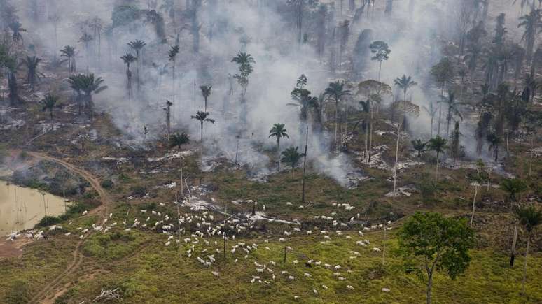 "Exploração mineral ilegal já existe, inclusive dentro das terras indígenas", disse Salles