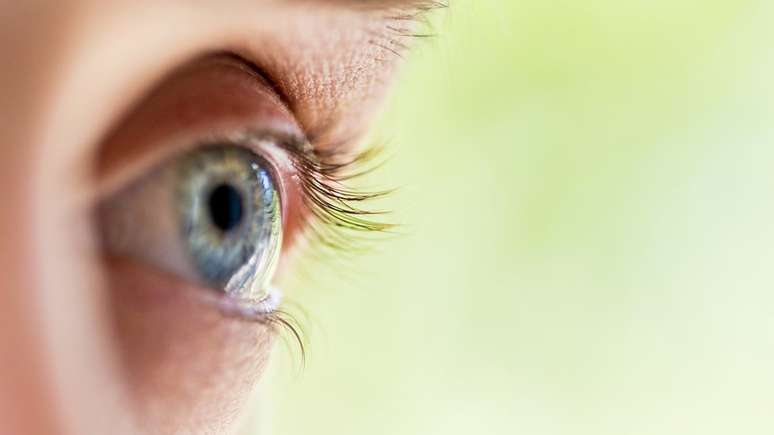 No Brasil, estimativa é de que 1.577.016 de indivíduos sejam cegos, o equivalente a 0,75% da população