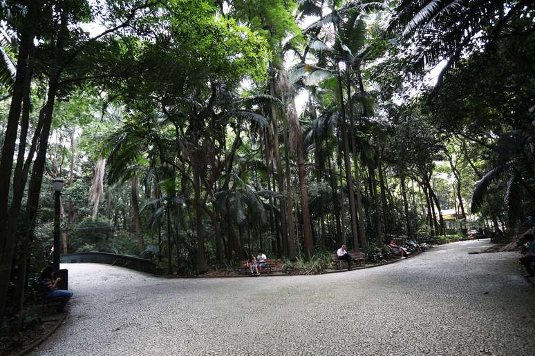 O Parque Trianon, em São Paulo